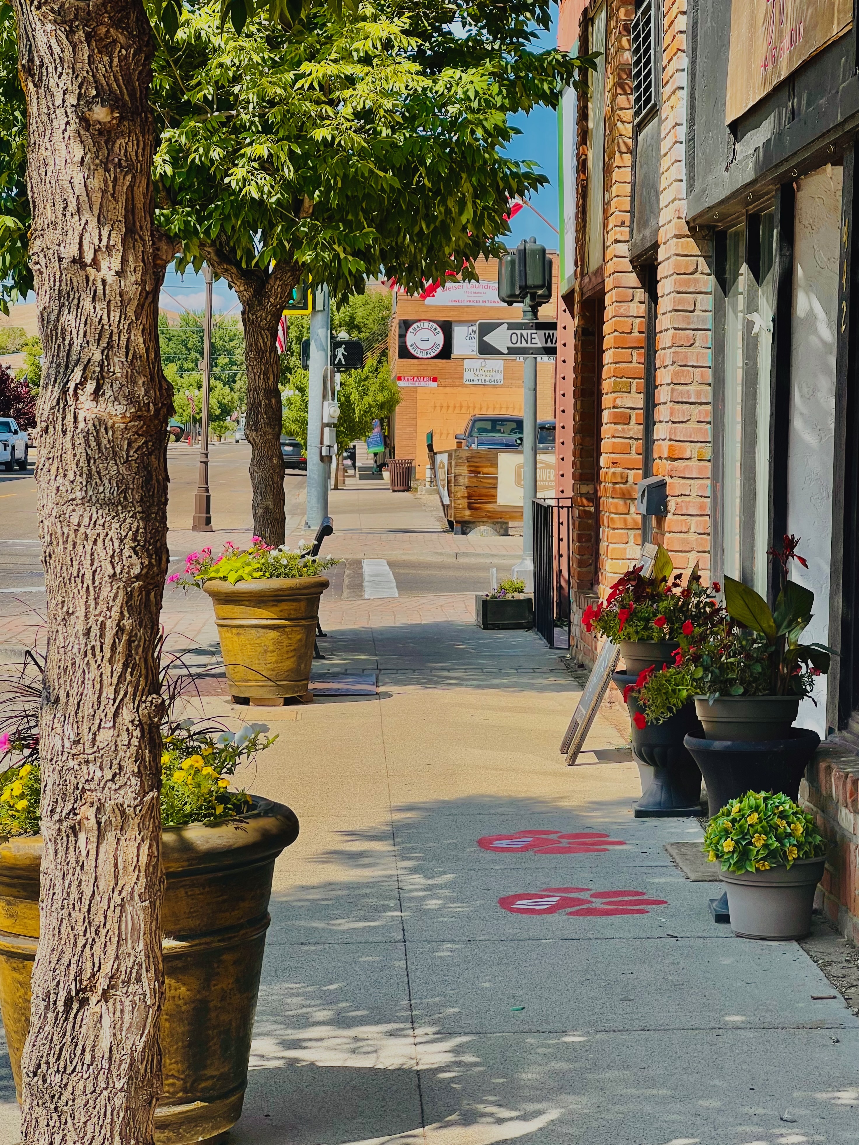 Beautiful landscape of Weiser, Idaho